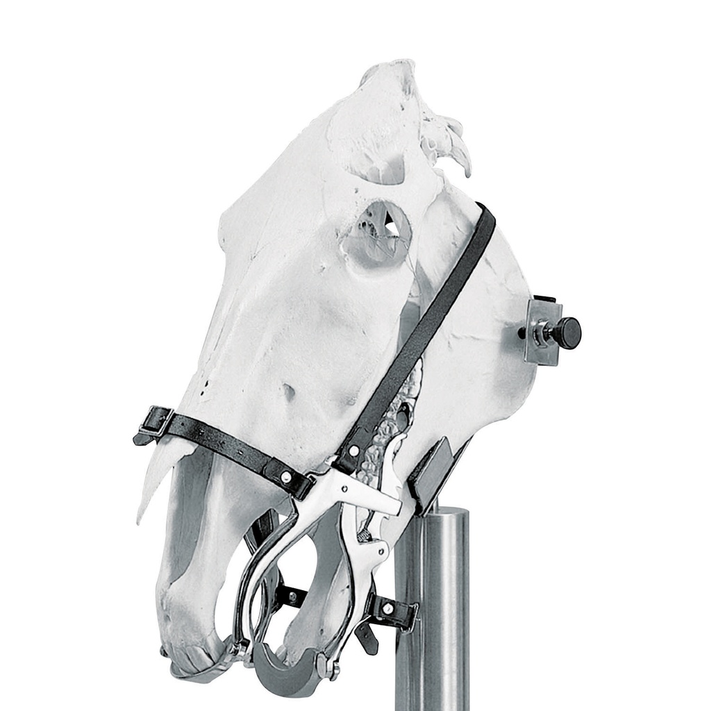Pas-d´âne pour cheval Haussmann/Climax. - nouveau modèle- idéal pour inspection dentaire