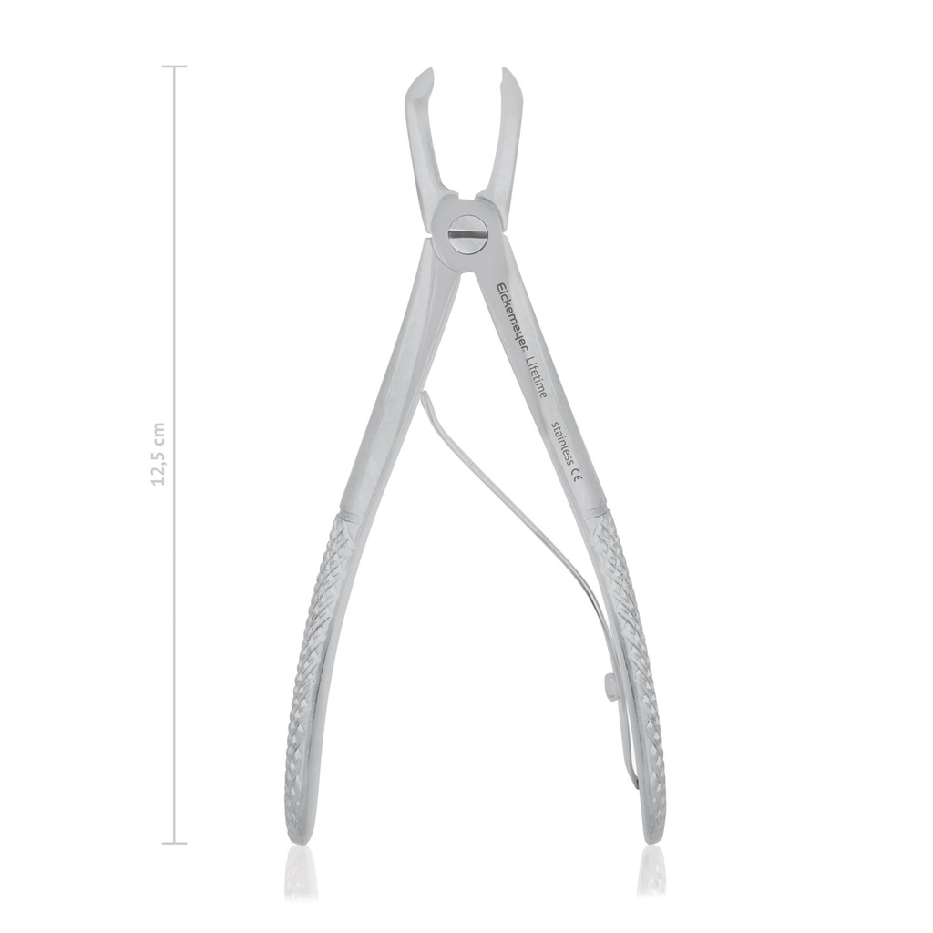 Right angled dental extraction forceps for cats and small dogs 