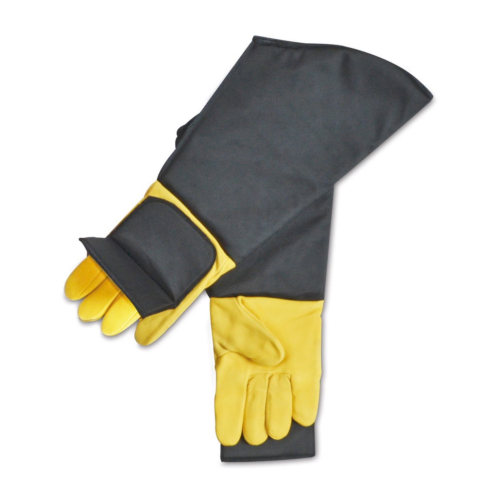 Gants de protection, protection suffisante contre des morsures et des griffes.