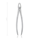 Tooth forceps fig. 1, 16,5 cm, 6 1/2"  