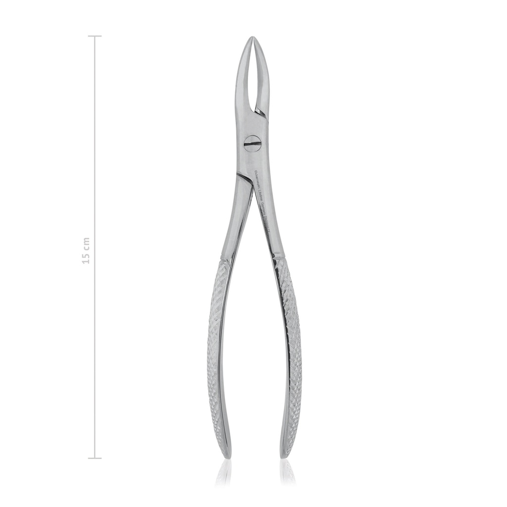 Pinza dentale WITZEL, fig. 166, 15 cm,con boca estrecha para fragmentos deraíz