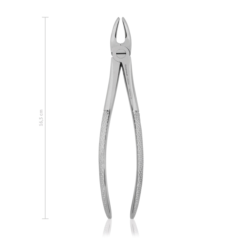 Tooth forceps, new model, 16,5 cm, 6 1/2" 