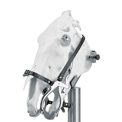 [211015] Pas-d´âne pour cheval Haussmann/Climax. - nouveau modèle- idéal pour inspection dentaire