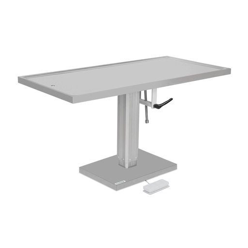 [601560] Table de soin et opératoire 60 x 130 cm Plateau CNS 18/8, avec plateau basculant