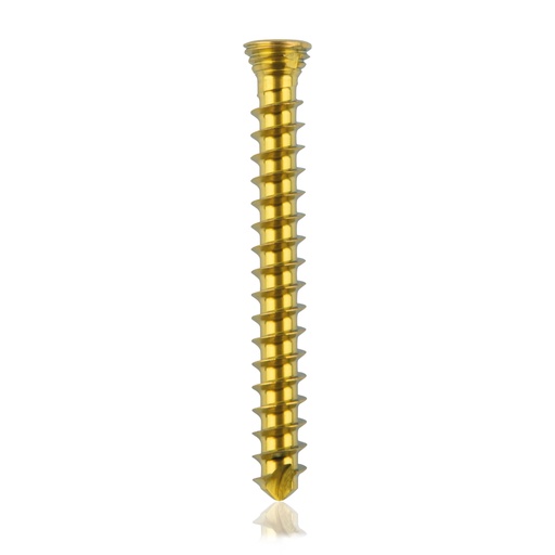 [185534] Titan- Verriegelungsschraube Ø2.3x 20mm multidirektional, gold, Torx 6 selbstschneidend, selbstbohrend
