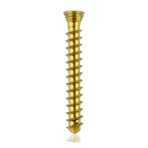 [185533] Tornillo de bloqueo de titanio Ø2.3x18mmmultidireccional, dorado, Torx 6autoperforante, autorroscante