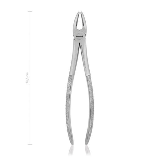 [176015] Pinza de dientes, 16,5 cm, para perros,diamatado para ajuste óptimo