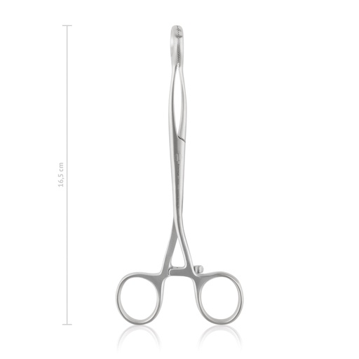 [146216] Tongue forceps Collin, 16,5 cm  